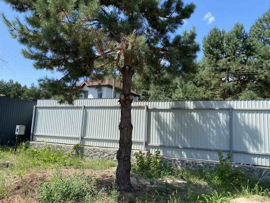 Земельний участок з газом на ділянці, Пилиповичі