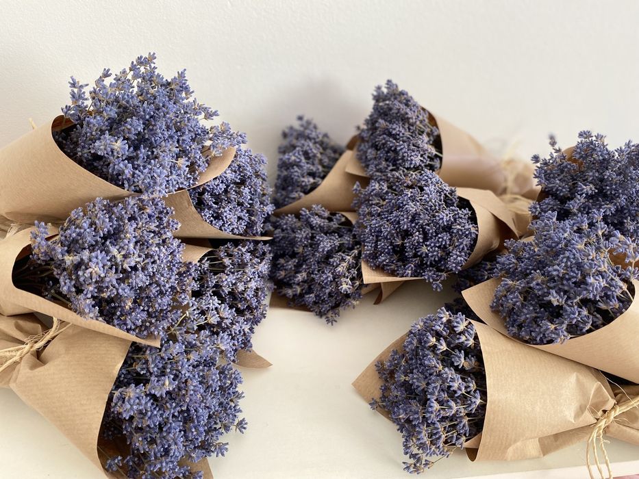 Бекетик із 101 гілочки лаванди та — ароматна казка, що дарує спокій