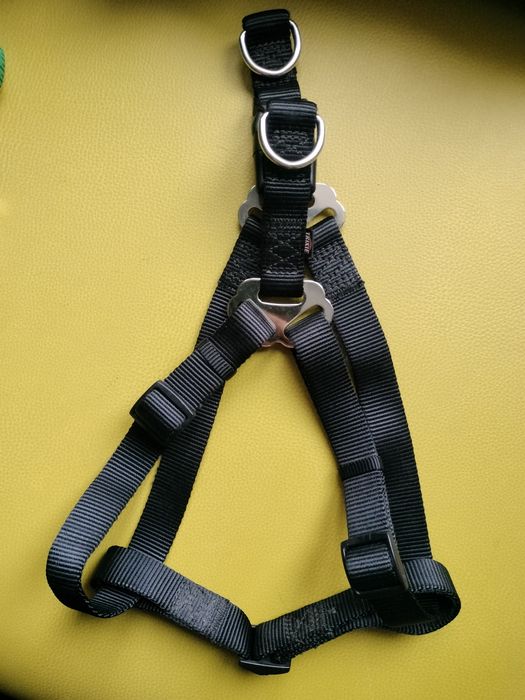 Шлея для собаки Європа