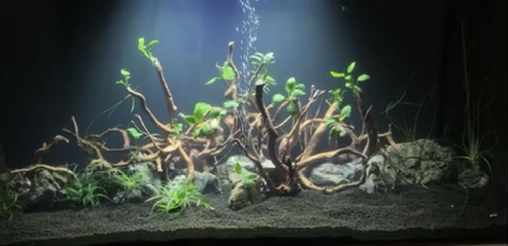 Акваріум JUWEL RIO 240 LED з тумбою і комплектуючими