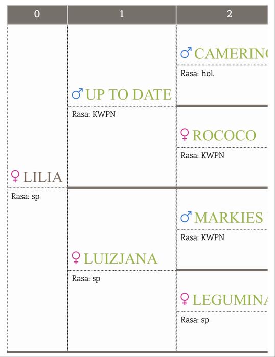 Klacz po up to date