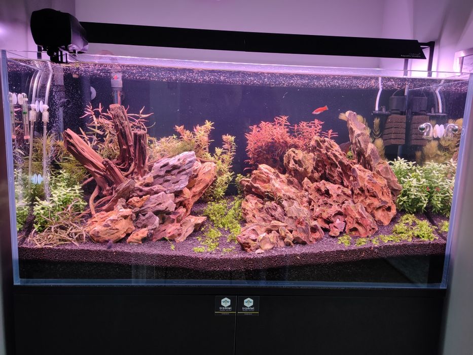 Akwarium 200L OptiWhite + Chihiros + CO2 + Bogate wyposażenie!