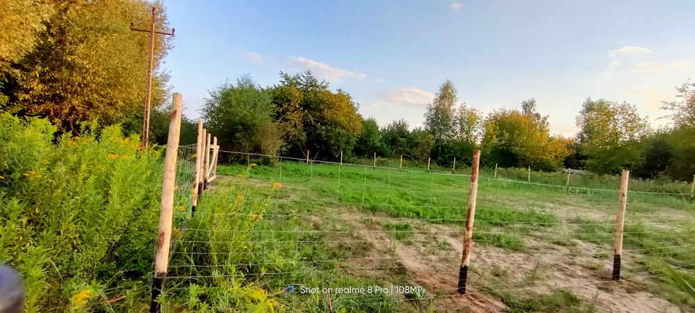 Ogrodzenie na czas budowy,tymczasowe budowlane leśne