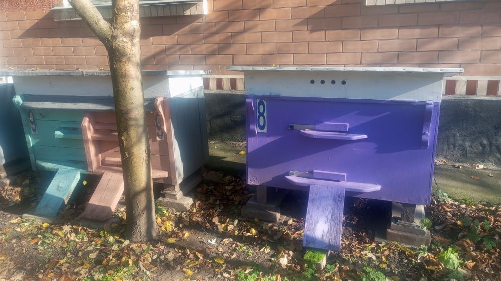 Продам вулики для бджіл