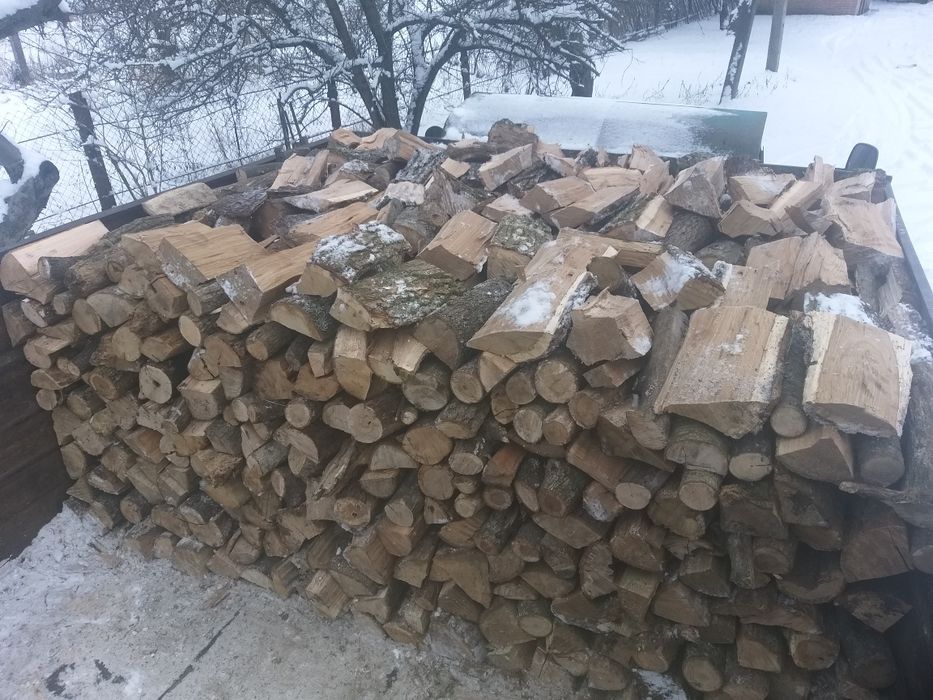 Дрова твердих порід