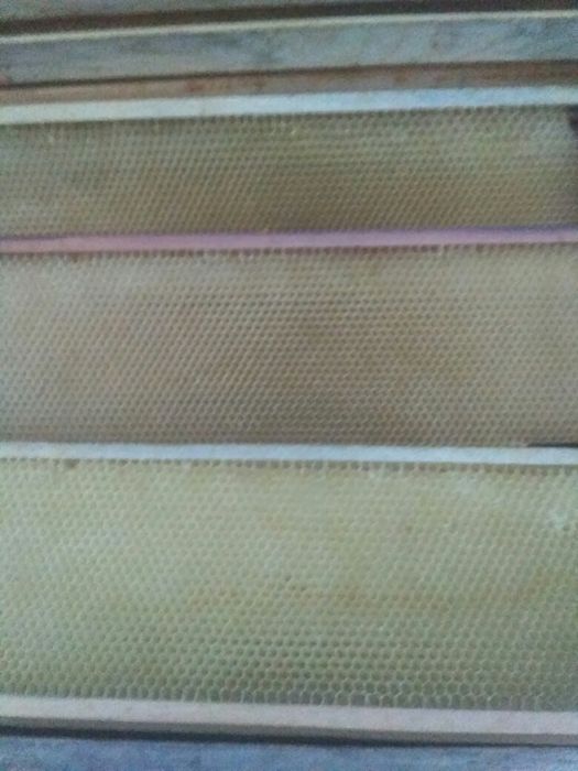 Продам суш (рамки) 100 шт.