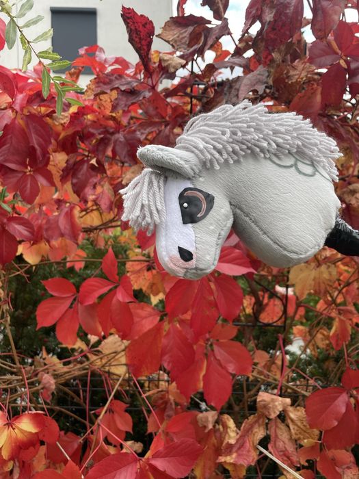 Hobby horse kucyk
