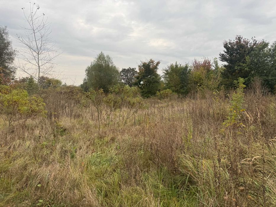 Продам участок 8 сот, дачне будівництво, перша лінія води, с. Зазим’я