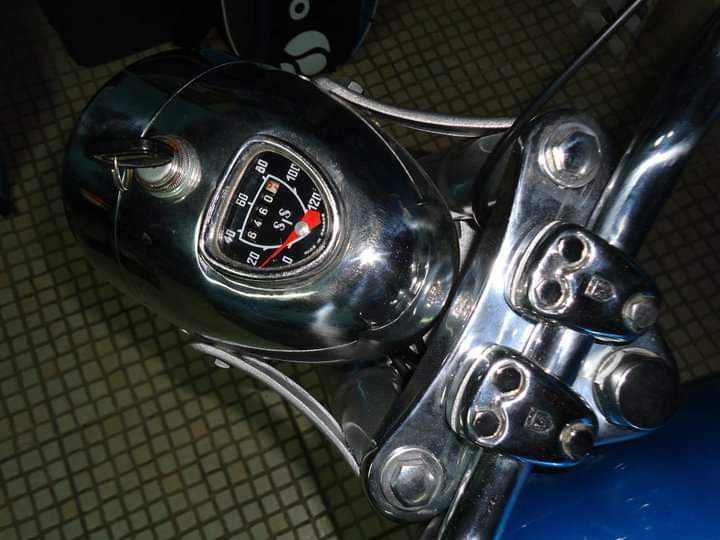 Sachs lebre restaurada