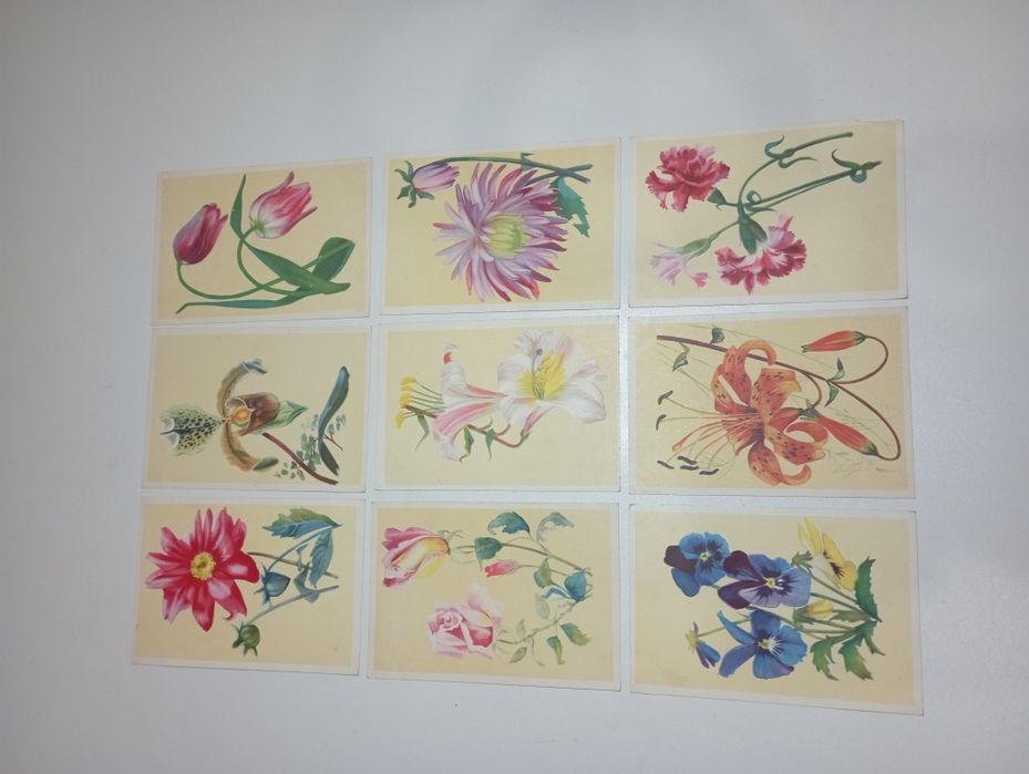 Набор  ретро-открыток  И. Чарнэцка  Польша живопись