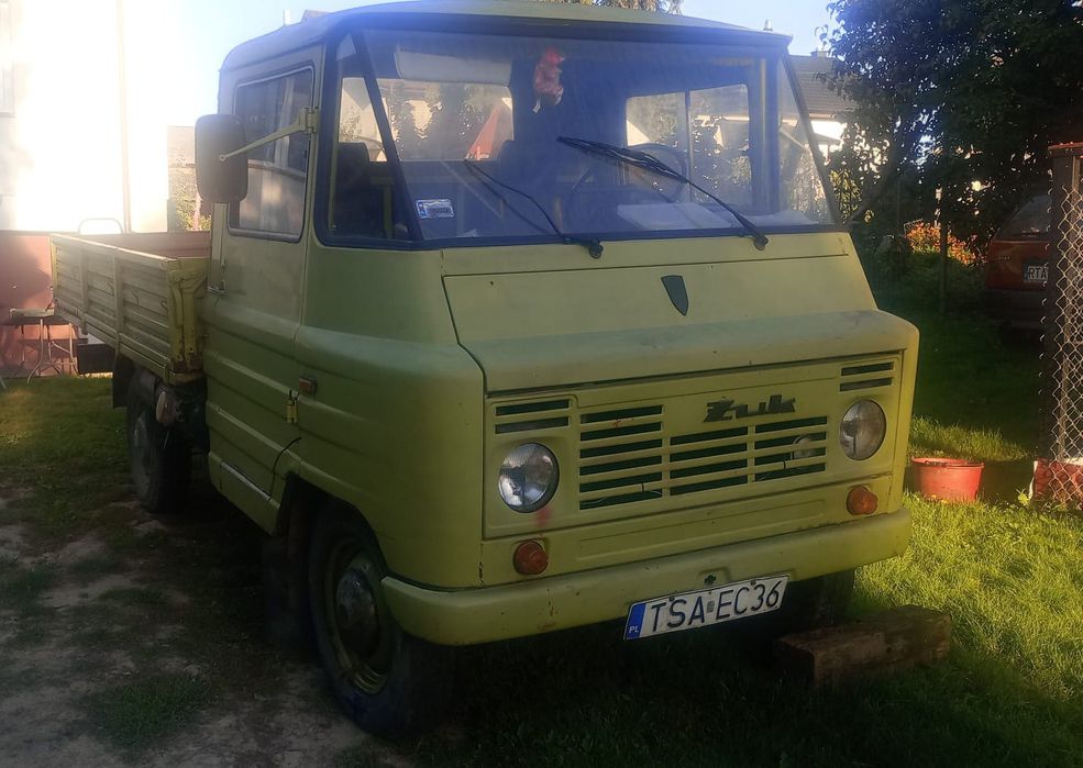 Żuk