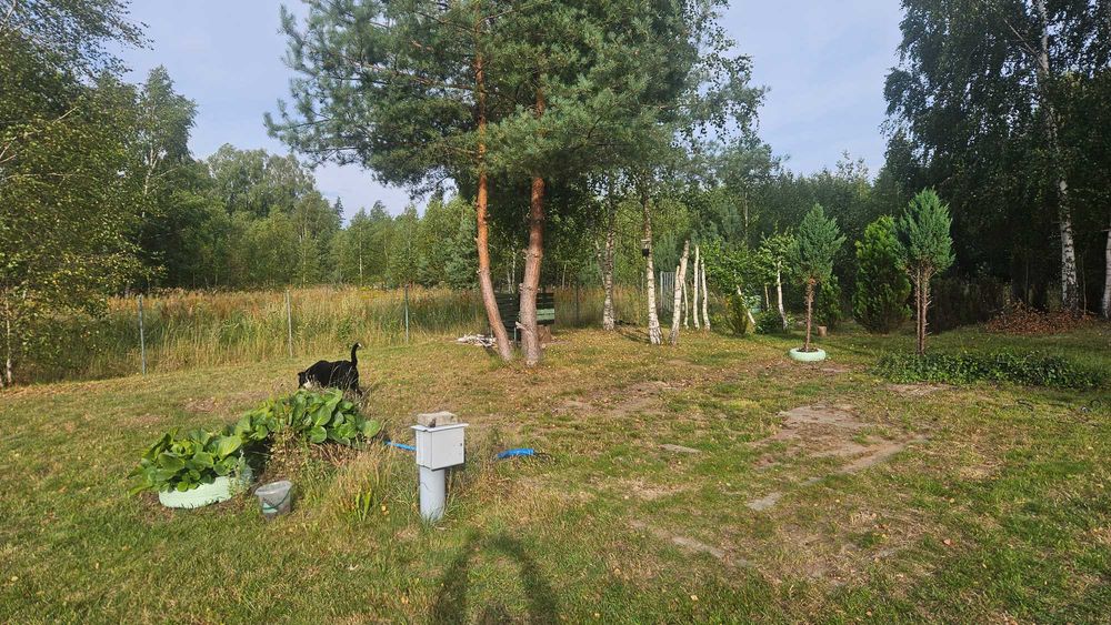 Piekna dzialka rekreacyjna o powierzchni 1500 m², urzadzona na wzniesieniu z garazem, pradem - Widok 4