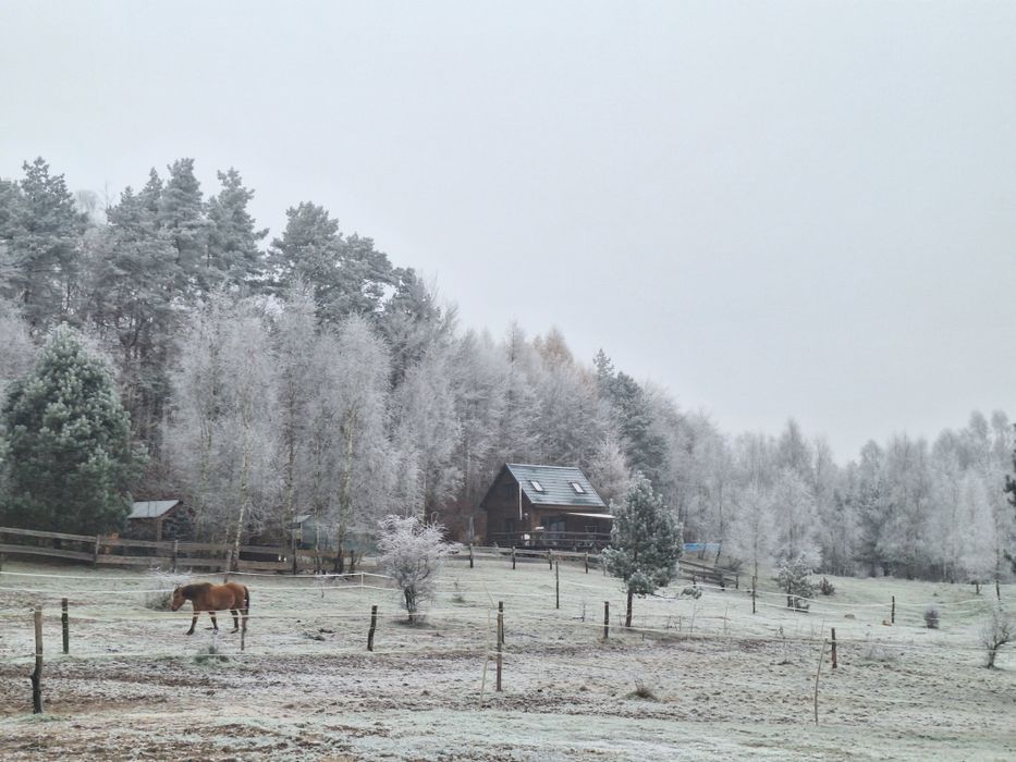 Siedlisko Drzewina - domek na wsi,  blisko wyciągu  narciarskiego