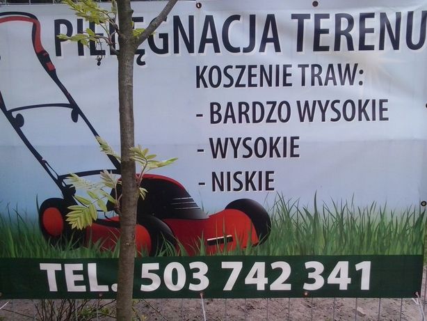 Prace Uslugi Ogrodnicze W Grodzisk Mazowiecki Olx Pl