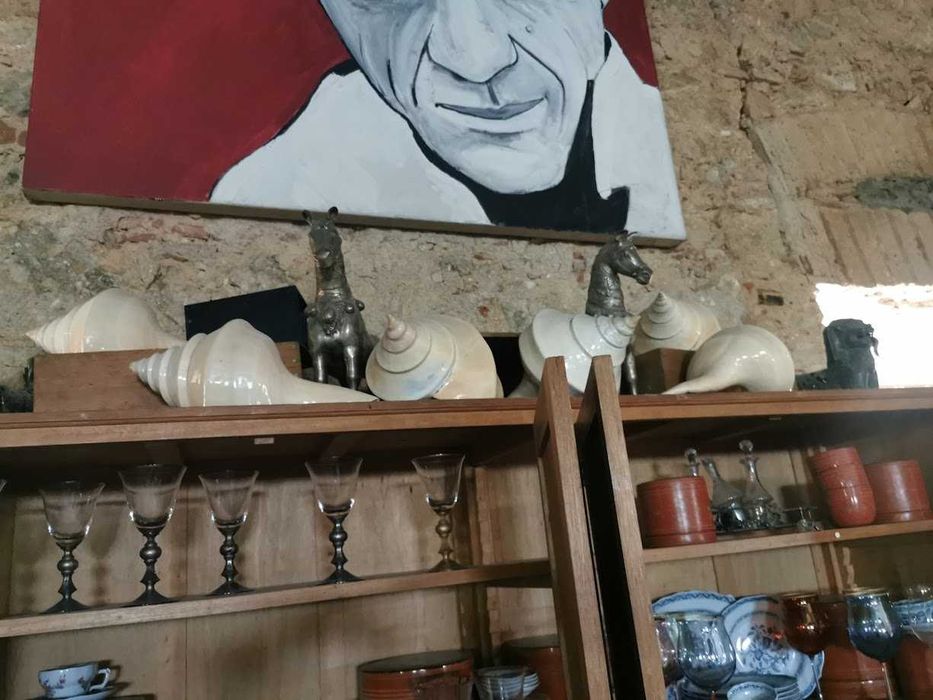 Búzios verdadeiros