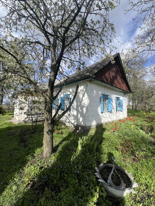 Продаж будинку з великою ділянкою