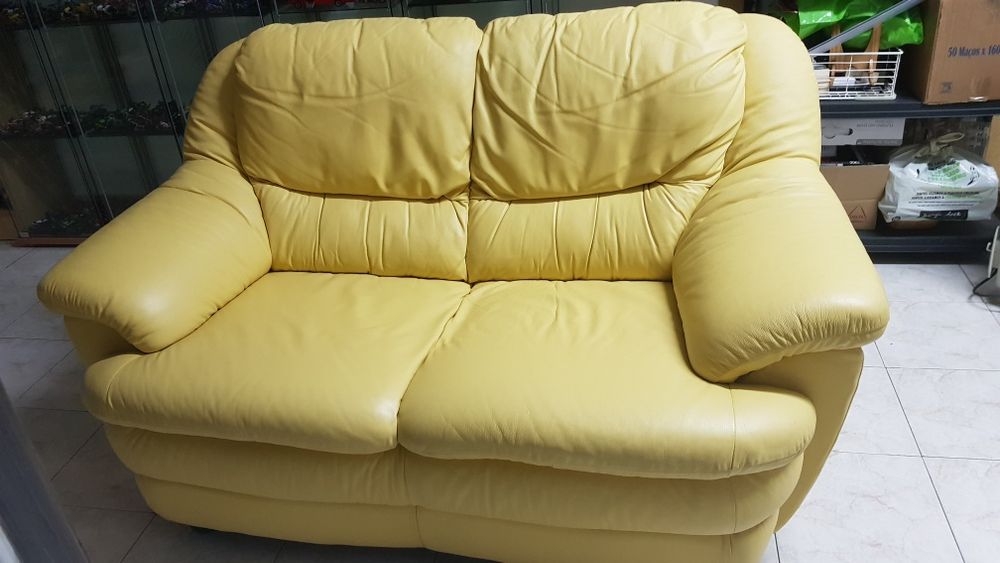 Sofá em pele, 2 lugares