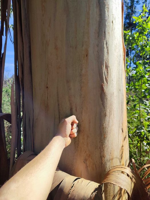 Vendo Terrenos - Vários