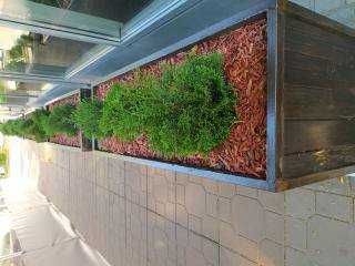 декоративна мульча и щепа кольорова купити київ