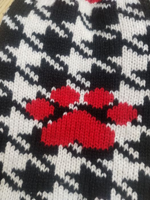 2 ubranka maltańczyk york XS