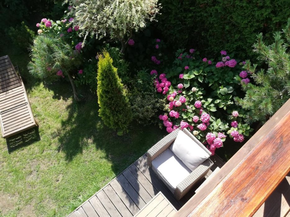 Domki nad morzem z ogródkami 600m od plaży w Ostrowie kolo Karwi