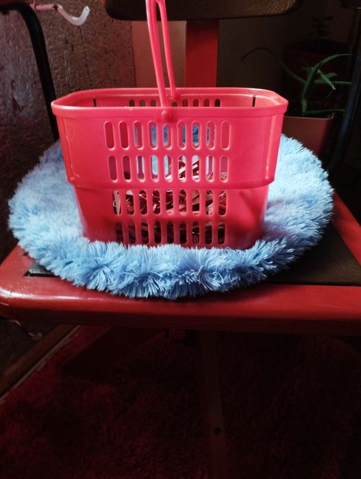 Прищіпи для одягу.