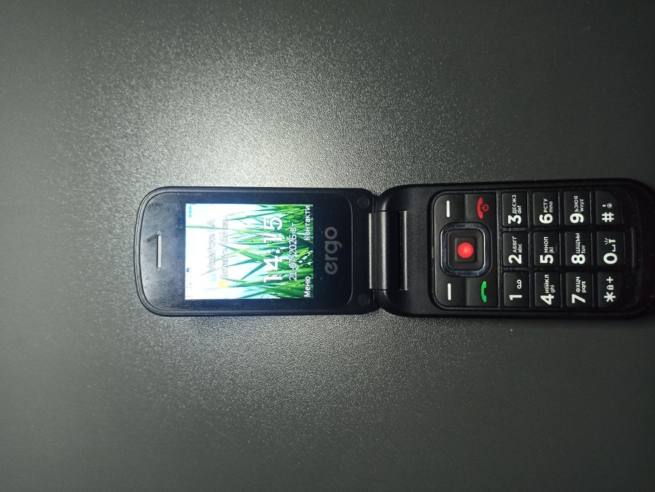 Телефон ergo f241