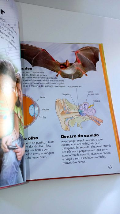 O Nosso Mundo - enciclopédia