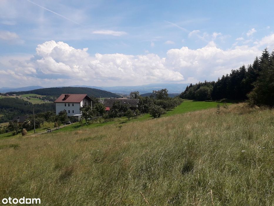 Widokowa działka budowlana - WARUNKI ZABUDOWY - zaraz przy lesie