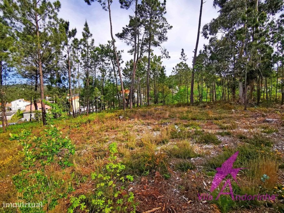 Terreno em Nogueira com vista desafogada