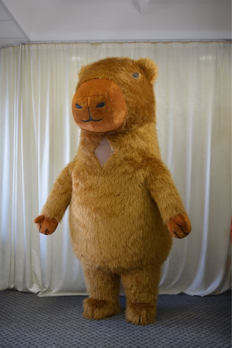 Капібара, Мішка, Панда , Пес Патрон Аніматори Полтава