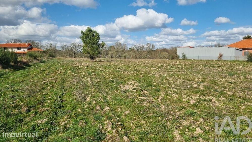Terreno para construção em Pêra do Moço