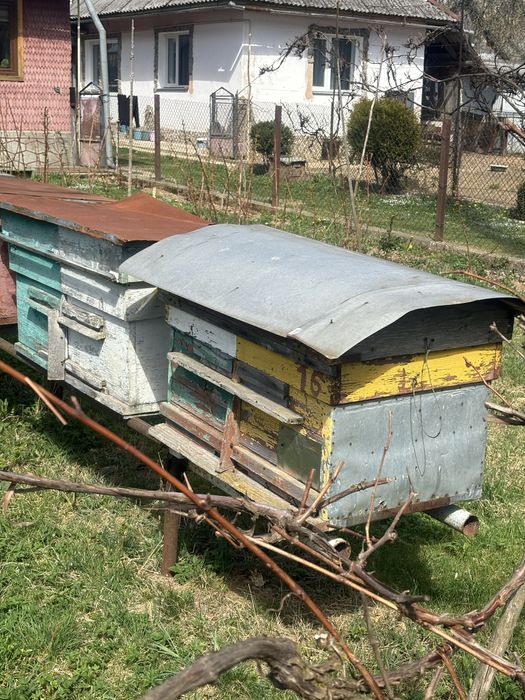 Вулики вулик для бджіл