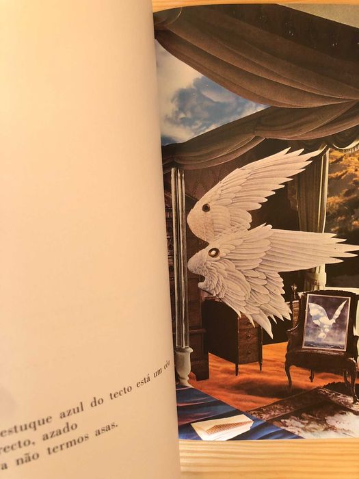 Dentro de Momentos (Exemplar_2297) - Pedro Tamen