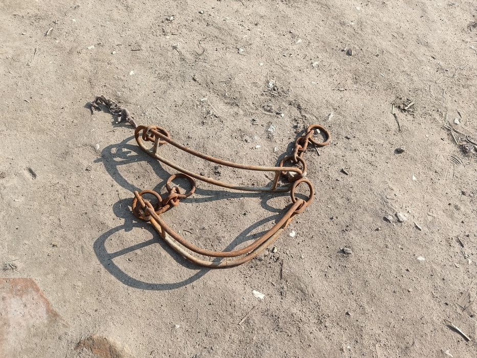 Jarzmo do krów używane