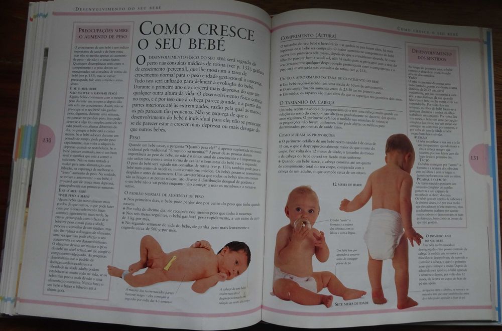 Os Jovens Pais (Guia Essencial Para Todos Os Pais Pela Primeira Vez)