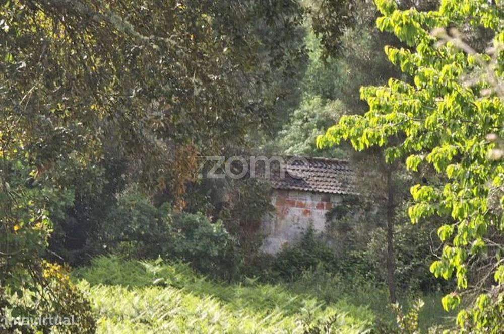 Terreno, Favaios