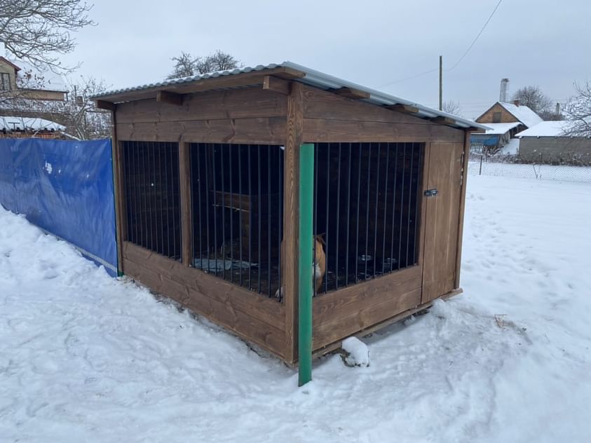 Собачий вольєр