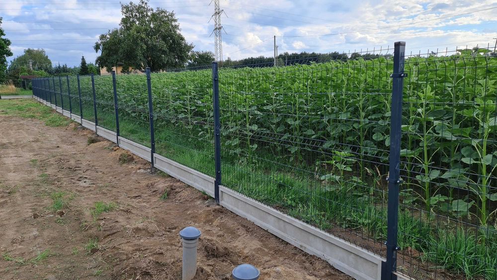 Ogrodzenie panelowe 3d