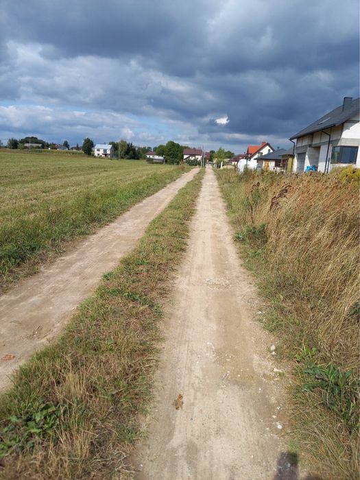 Zdjęcie 4
