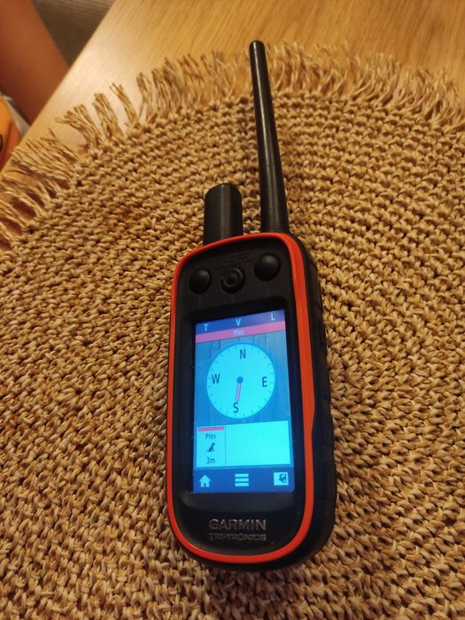 Garmin alpha 100