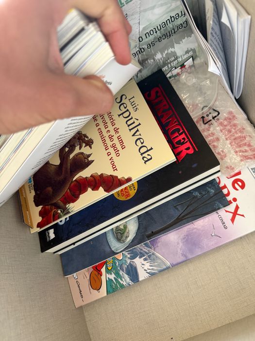 Livros variados, pequenos, infanties LER+ plano nacional de leitura