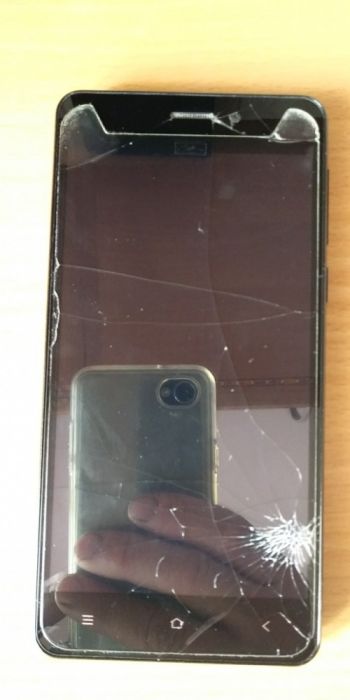 Lark stratus stratus