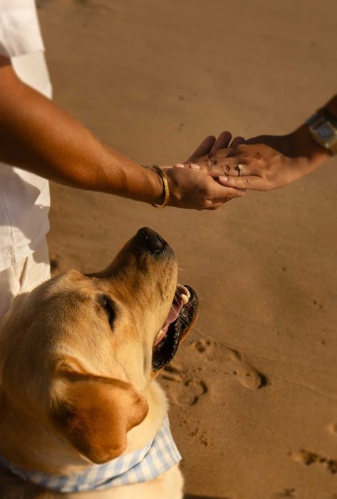 Fotógrafo Profissional para Eventos – Batizados, Aniversários e Mais!