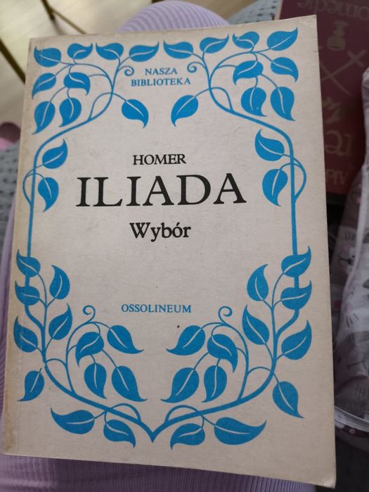 Książka, lektura Iliada Homera