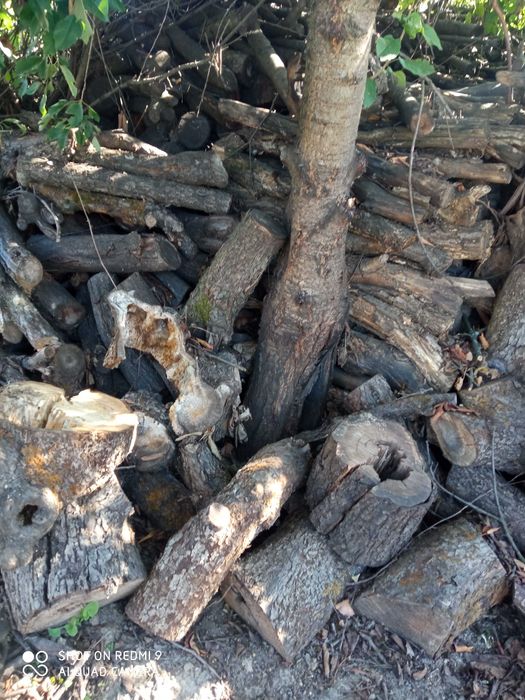 Drewno opałowe kominkowe