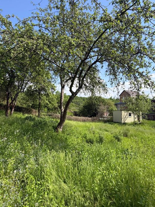 Продам земельну ділянку Кринички