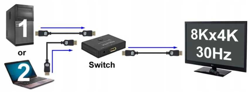 Delock Bidirectional Switch 4K 60 Hz - testowane
