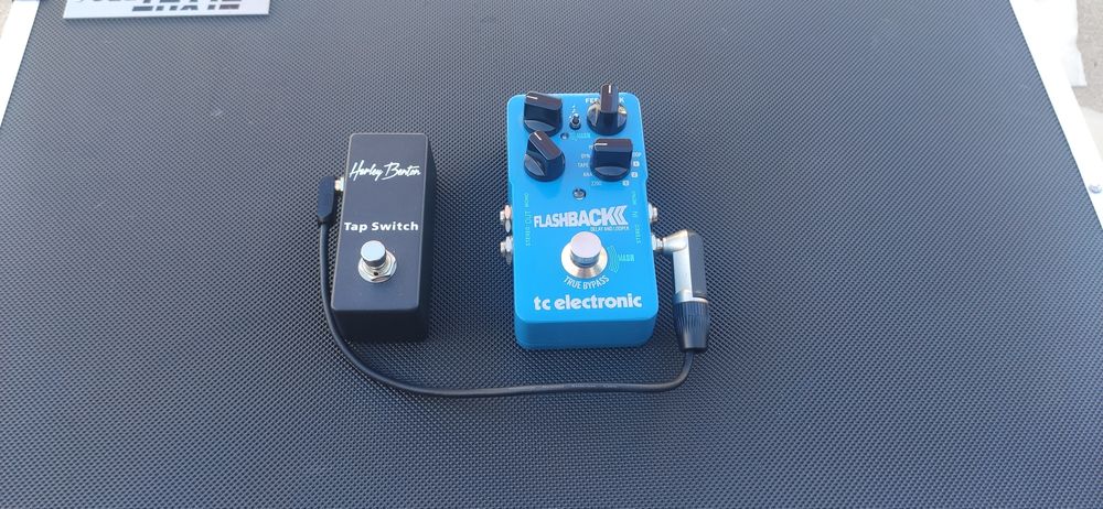 Looper Fxl8 pro, DELAY flashback