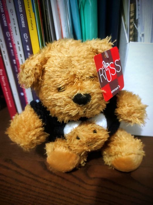 Uroczy miś pluszowy 19cm